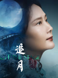 追月海报